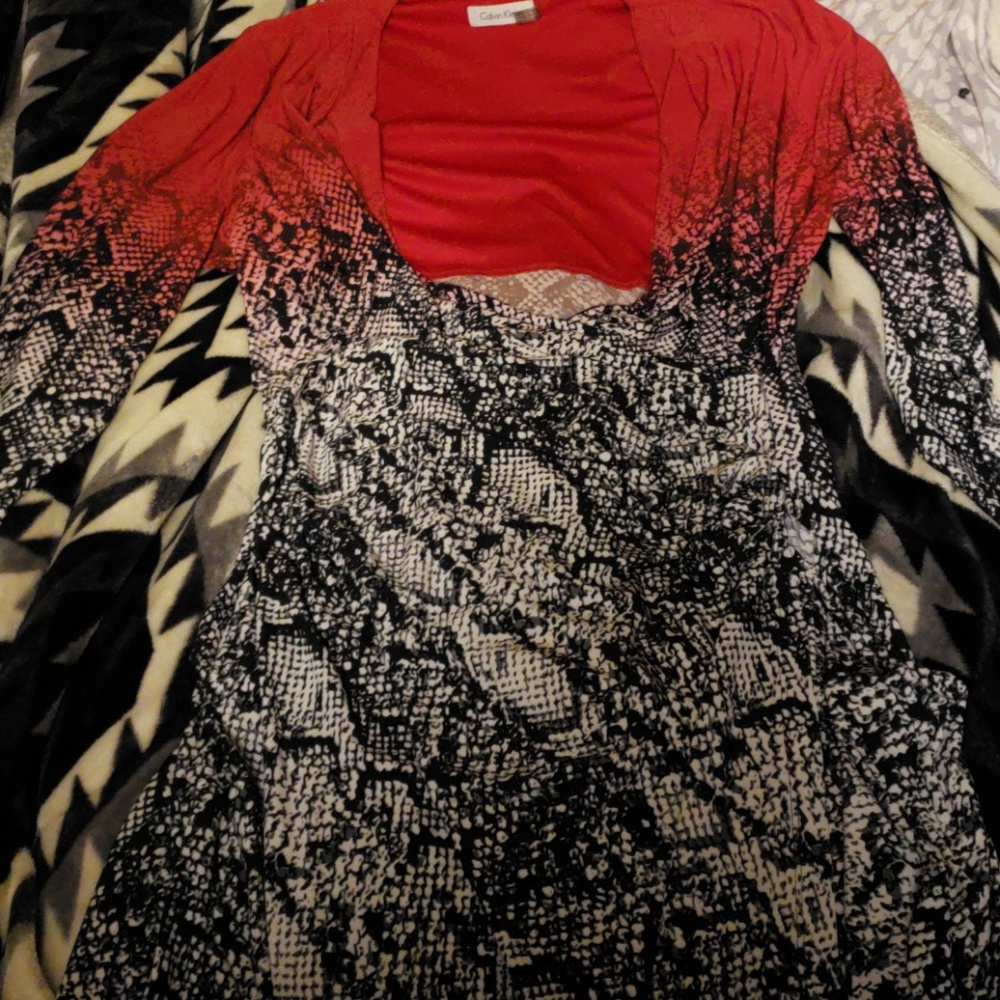 Calvin Klein Red and snake skin dress